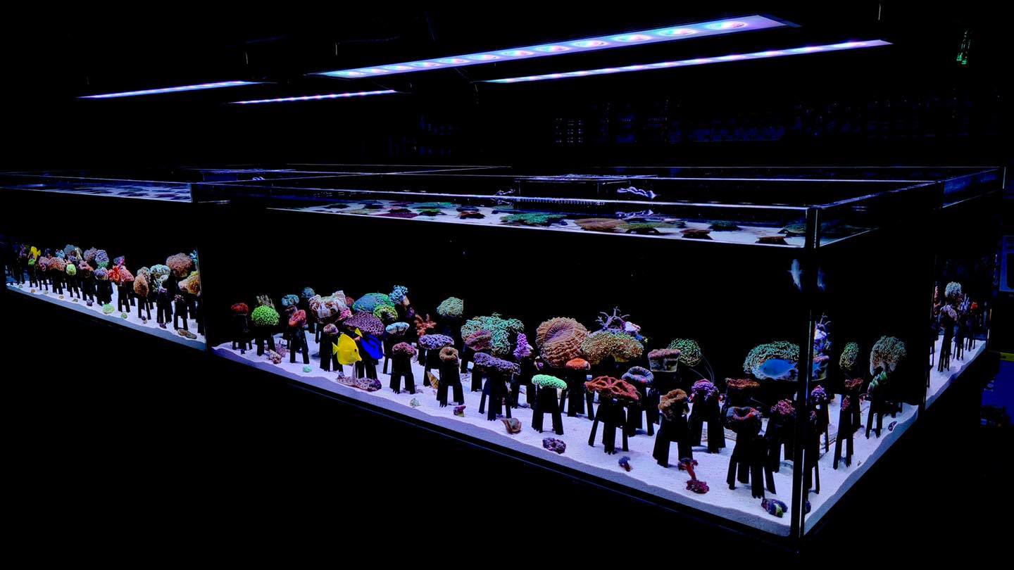 fishworldaquarium